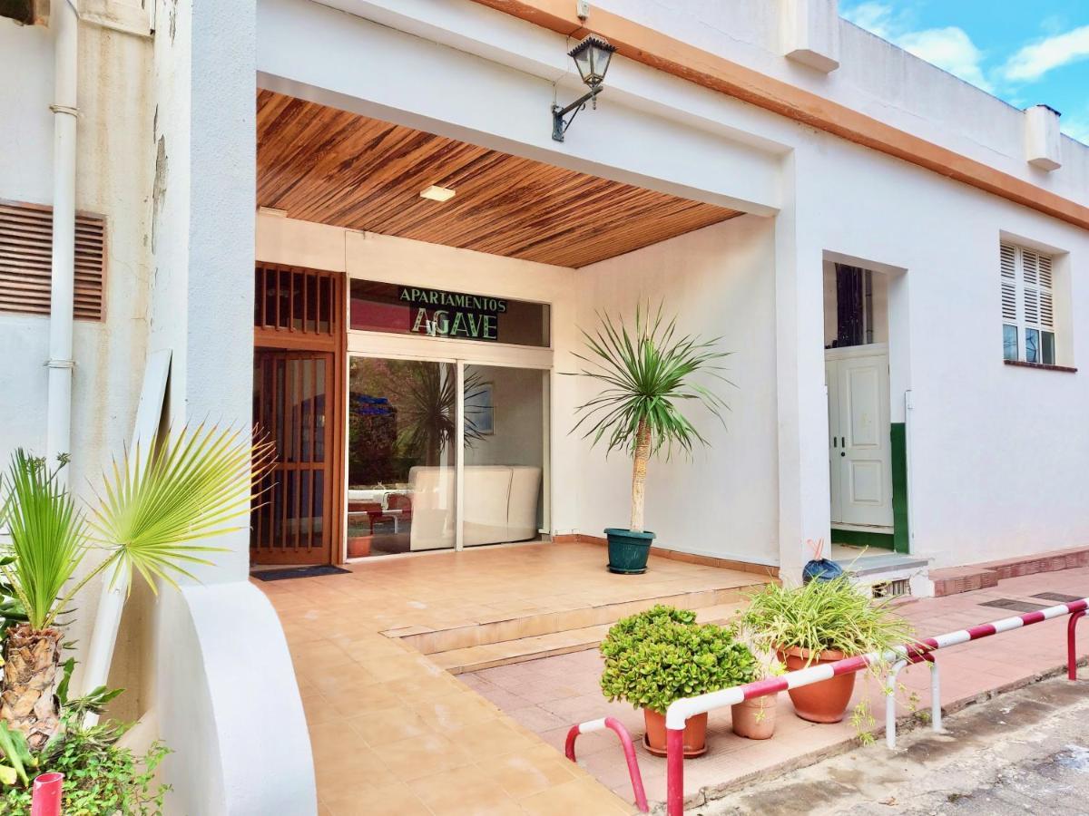 Estudio Plata Puerto de la Cruz  Buitenkant foto